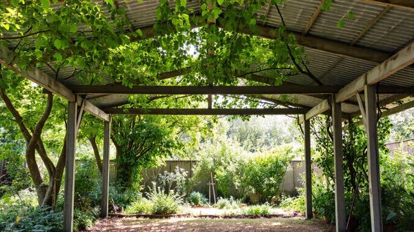 Maximisez votre jardin avec un abri extérieur de 20 m²
